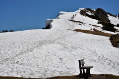 Schnee, o jemine