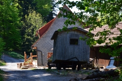DSC_0219